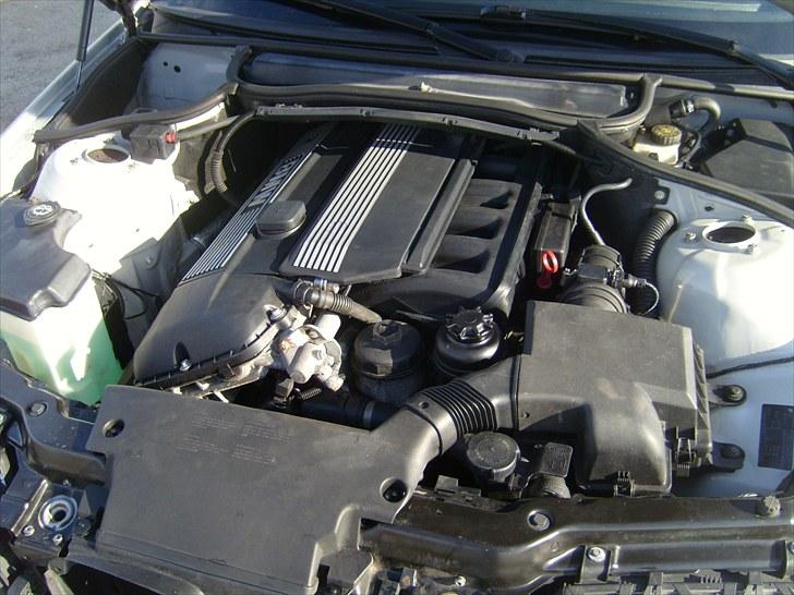 BMW E46 320i billede 6