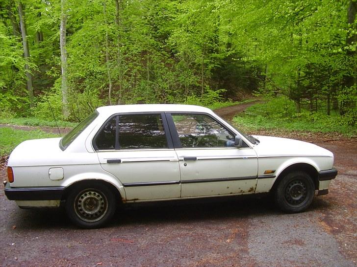 BMW E30 323i billede 3