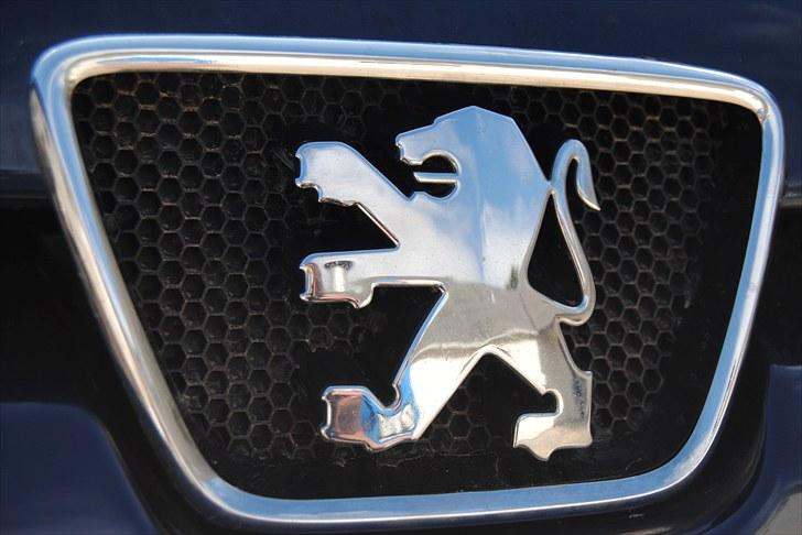 Peugeot 306 edenpark solgt billede 3