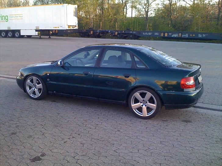 Audi a4 b5 SOLGT billede 8