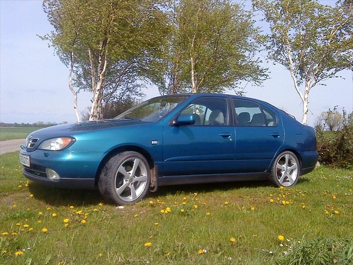 Nissan Primera Comfort billede 1