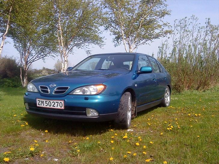 Nissan Primera Comfort billede 2
