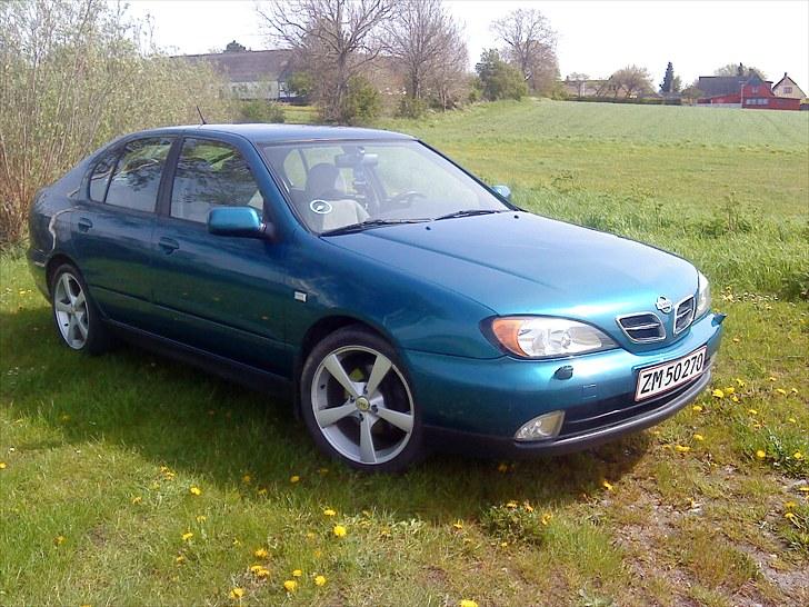 Nissan Primera Comfort billede 4