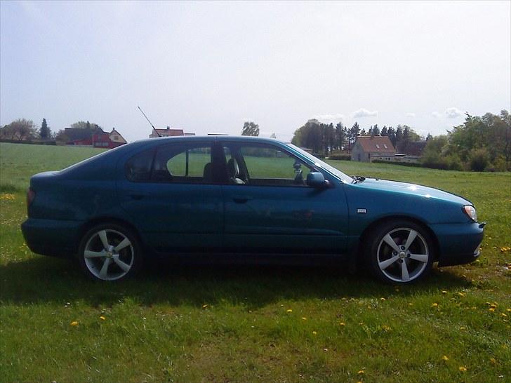 Nissan Primera Comfort billede 5