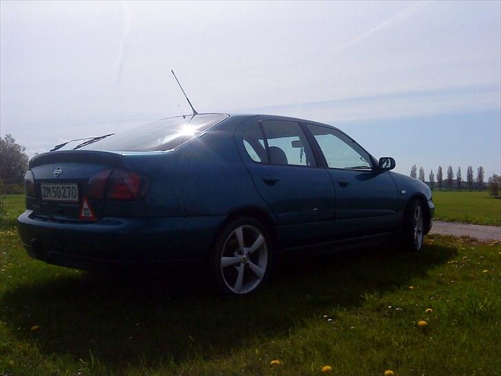 Nissan Primera Comfort billede 6