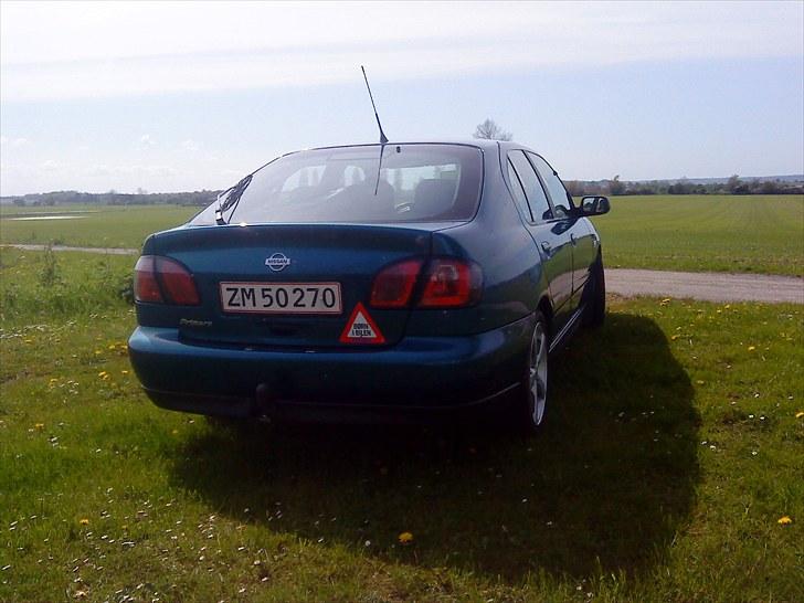 Nissan Primera Comfort billede 7