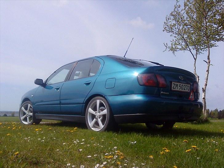 Nissan Primera Comfort billede 8