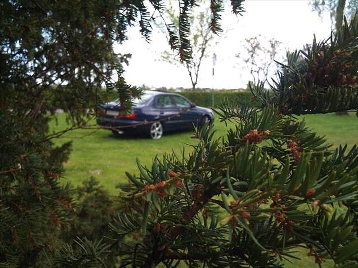 Toyota Carina E *Solgt* billede 9