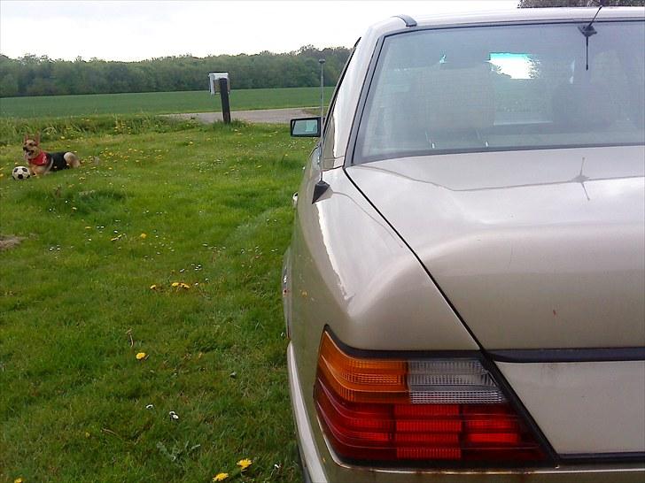 Mercedes Benz 300D *Byttet* billede 16