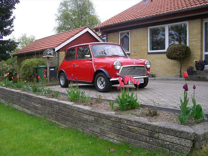 Mini Mascot billede 1