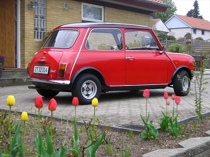 Mini Mascot billede 2