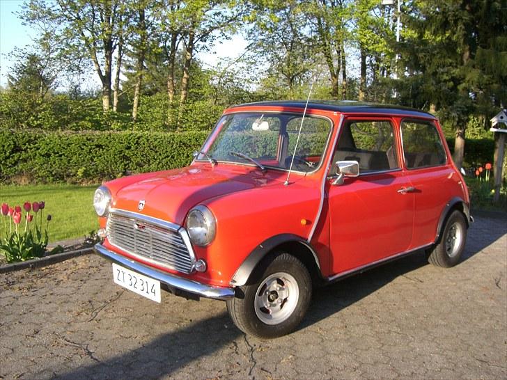 Mini Mascot billede 3