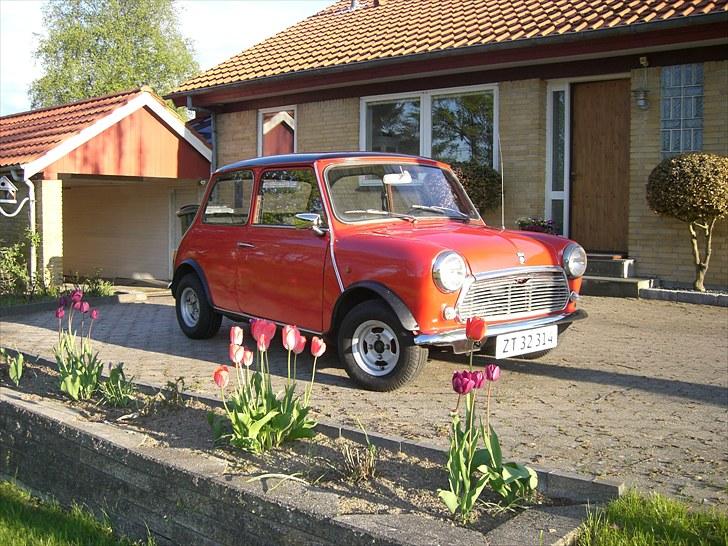 Mini Mascot billede 4