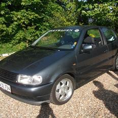 VW Polo 6n ( SOLGT ) :'(