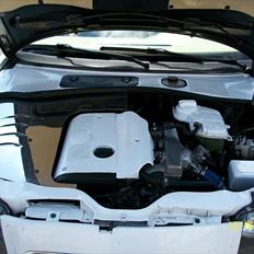 VW Passat Dollar BABY