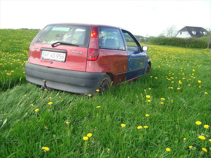 Fiat Punto (SOLGT) billede 11