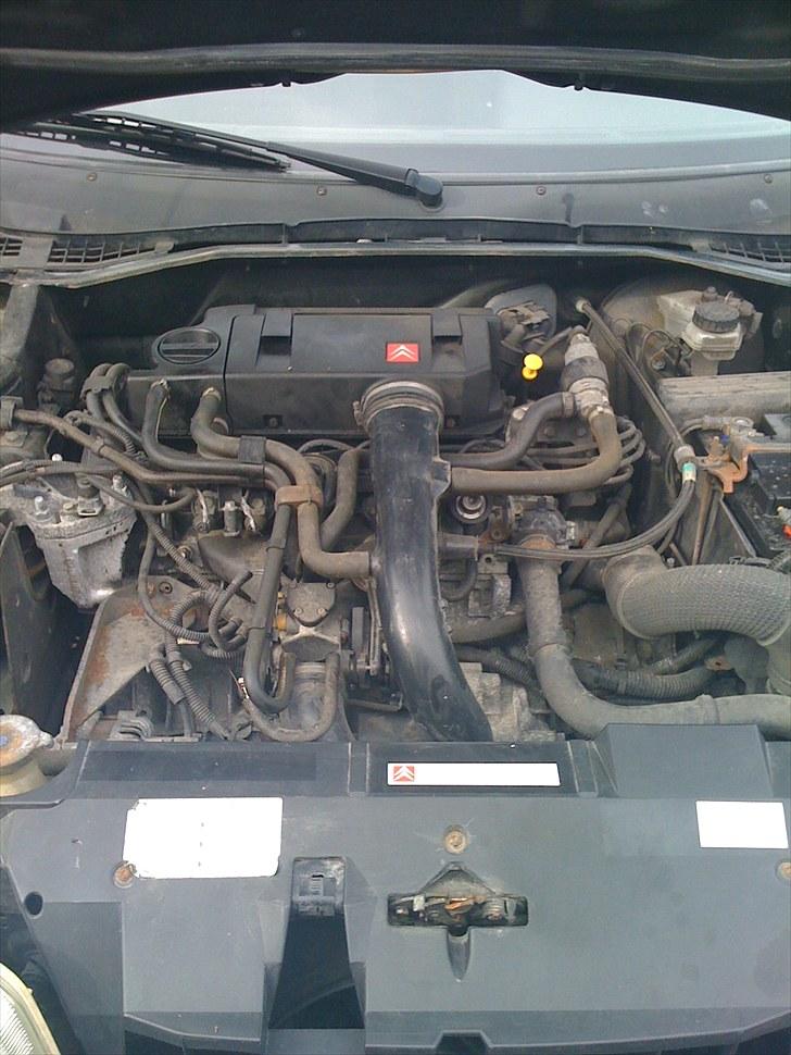 Citroën ZX 1,8i Furio billede 10