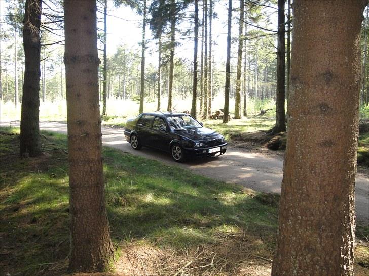 VW ~Vento~ GTI - SOLGT billede 5