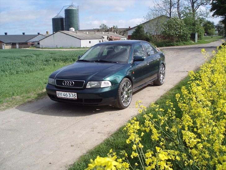 Audi A 4 Solgt billede 2