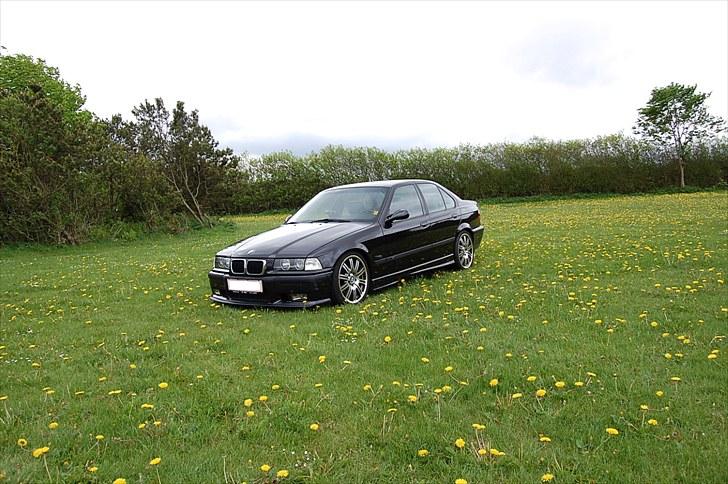 BMW E36 328i SOLGT billede 7