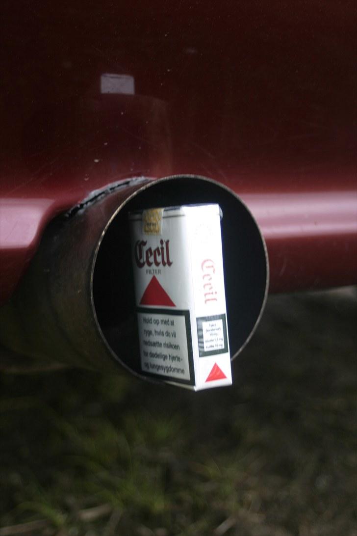 Peugeot 406 3.0 V6 - Lækkert som den gnaver af min kofanger ... billede 6