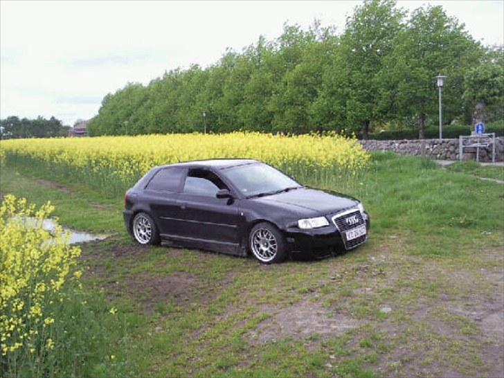 Audi a3 billede 8