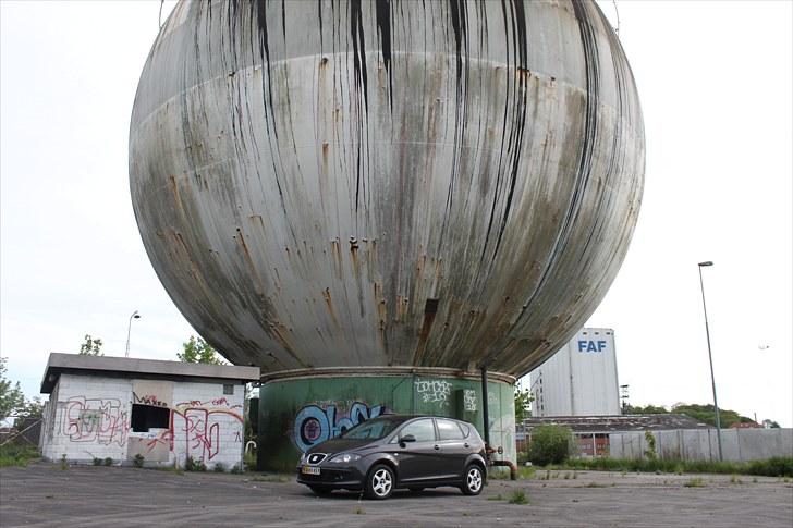 Seat Altea Stylance Solgt billede 8