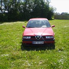 Alfa Romeo 155 SOLGT