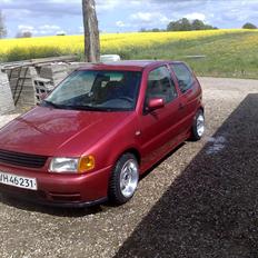 VW Polo (Solgt)