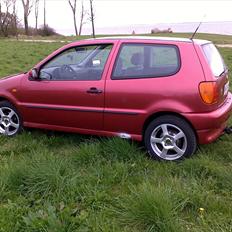 VW polo 6n - SÆLGES-