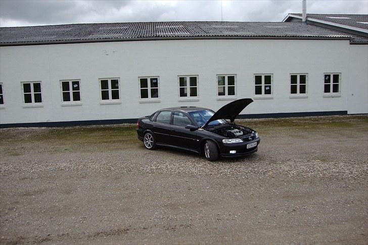 Opel Vectra B 2,5 V6 billede 15
