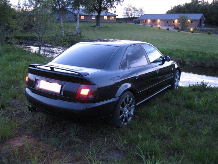 Audi A4 B5 - Solgt billede 6