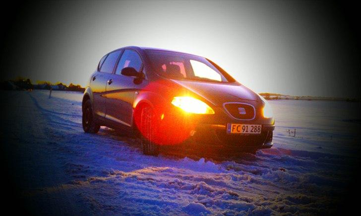 Seat Altea 2.0 DSG (Solgt) billede 1