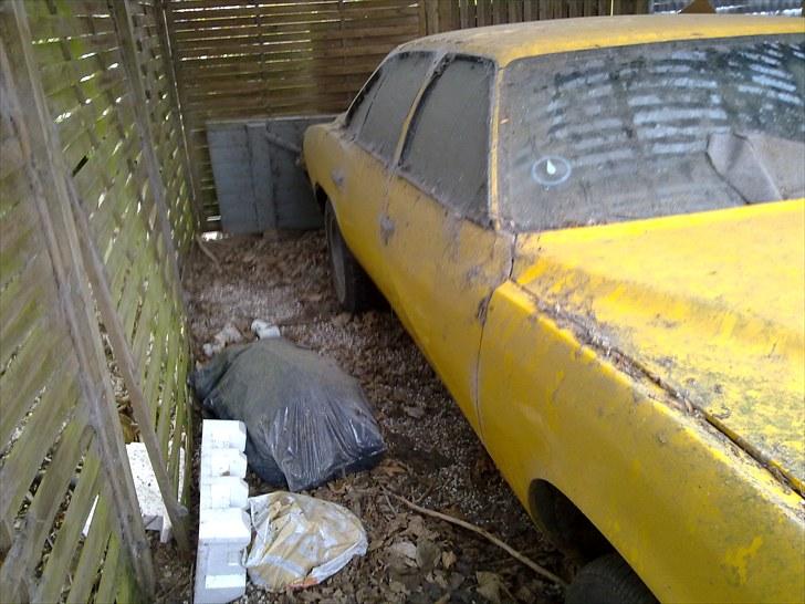 Pontiac Grand LeMans billede 5