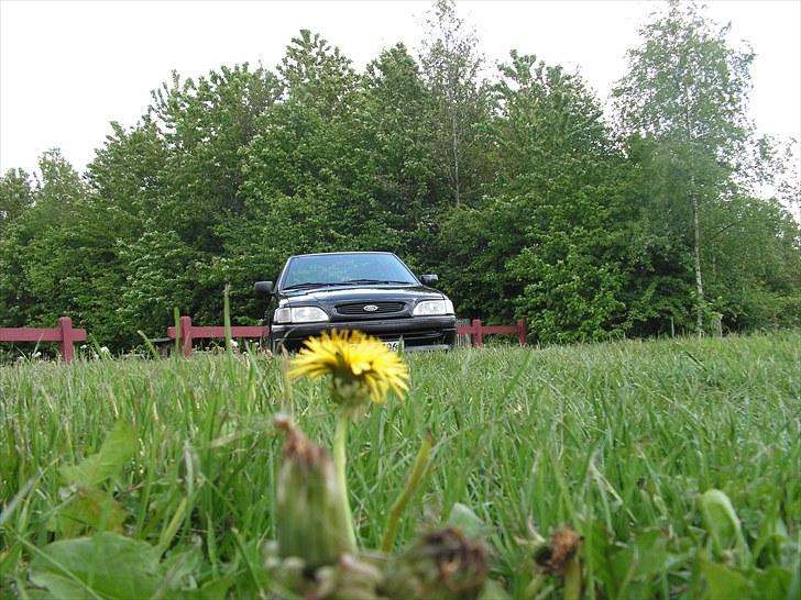 Ford Escort Cabriolet (sommer) billede 16