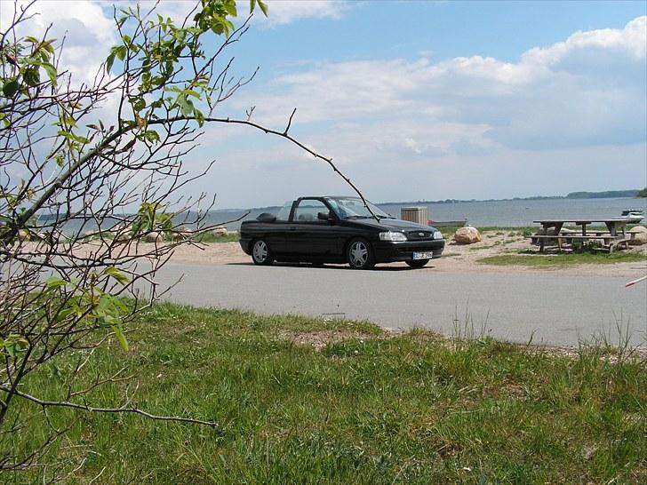 Ford Escort Cabriolet (sommer) billede 17