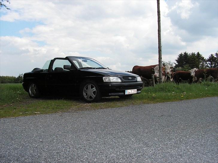 Ford Escort Cabriolet (sommer) billede 18