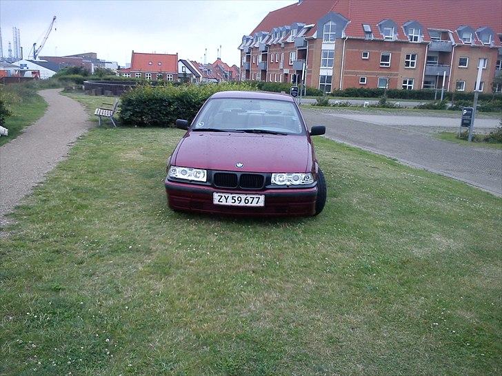 BMW e36 316  *byttet* billede 1