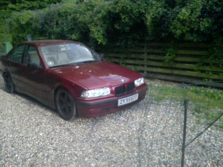 BMW e36 316  *byttet* billede 2