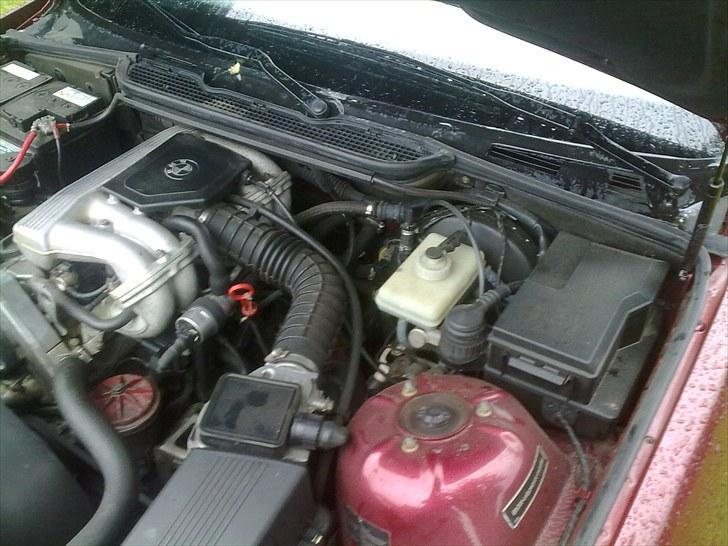 BMW e36 316  *byttet* billede 7