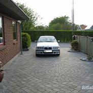 BMW 323 (SOLGT)