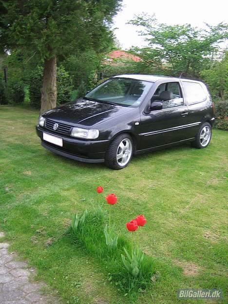 VW Polo 6N - SOLGT billede 1