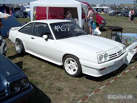 Opel Manta B I240 billede 2