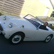 Austin healey frogeye