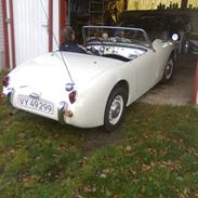 Austin healey frogeye