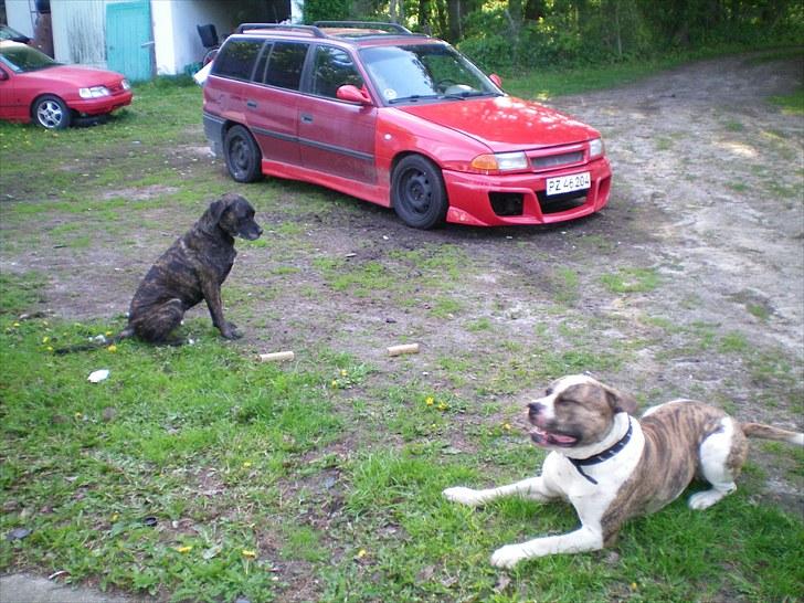 Opel Astra Van billede 9