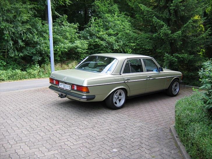 Mercedes Benz W123  - på tur  til Hazen ,,,så kun 2  andre W123 der og der var tit nogen der kikket  på den nogen gik flere gange rund om den var et sjælden syn der ?? på de kanter   billede 5