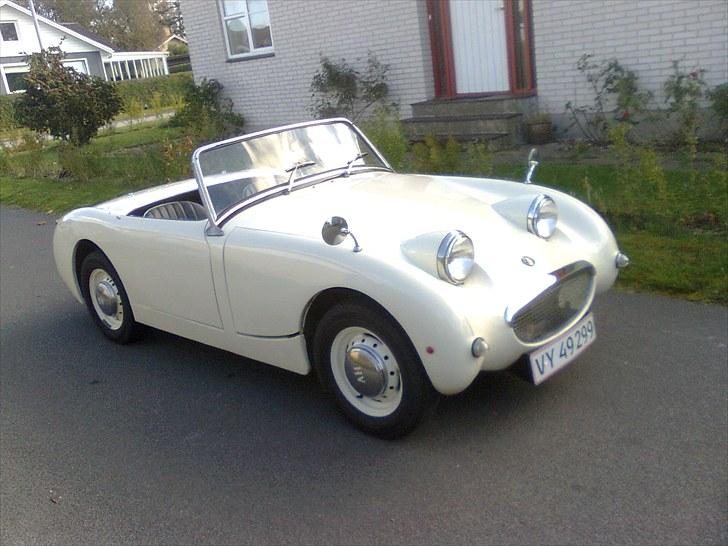 Austin healey frogeye billede 1