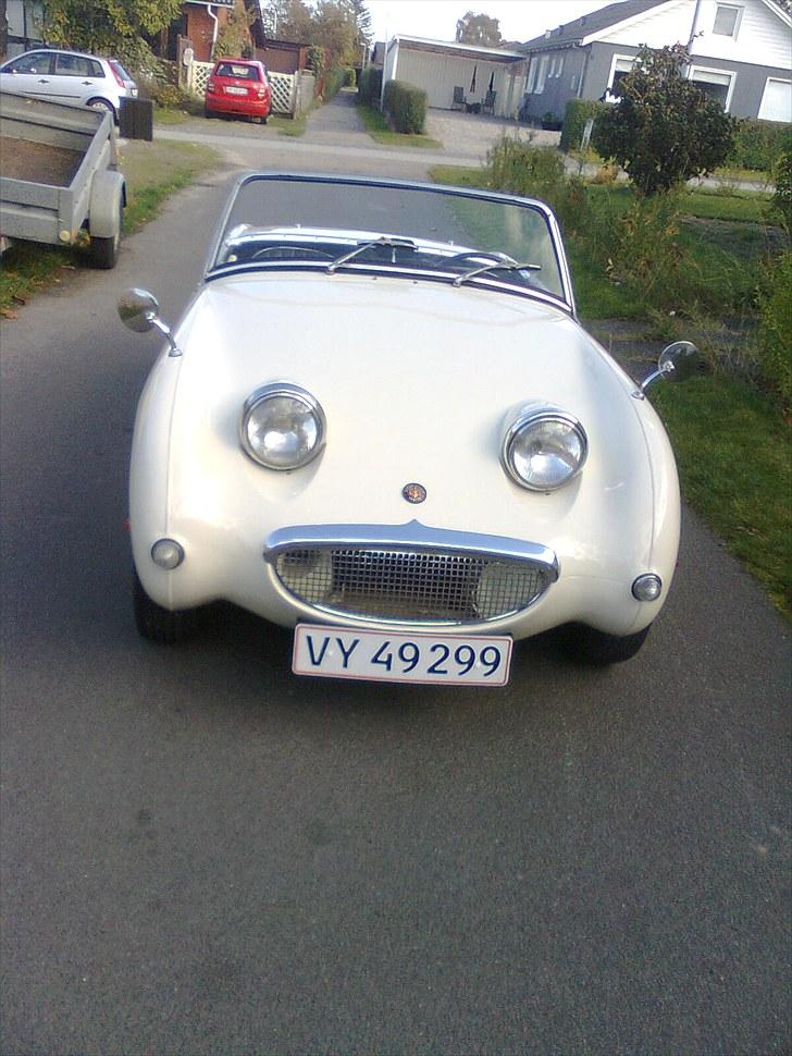 Austin healey frogeye billede 2