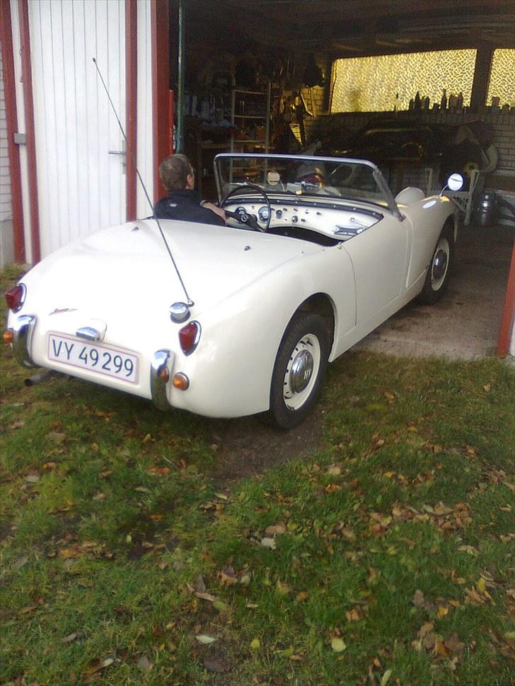 Austin healey frogeye billede 5
